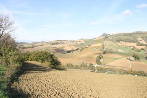 Terra a Ripatransone, Ascoli Piceno, Ripatransone - € 195.000 | Ref: 1577 - foto 17