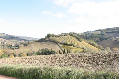 Terra a Ripatransone, Ascoli Piceno, Ripatransone - € 195.000 | Ref: 1577 - foto 18