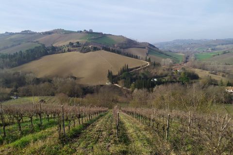 Terra a Ripatransone, Ascoli Piceno, Ripatransone - € 195.000 | Ref: 1577 - foto 20