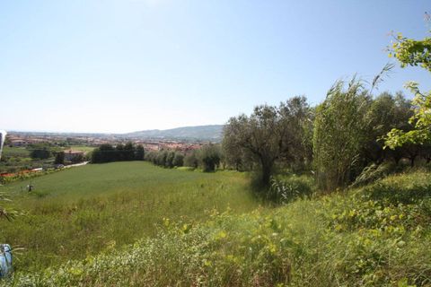 Helårsgrund i Monteprandone, Ascoli Piceno, Monteprandone - € 105.000 | Ref: 1698 - foto 2