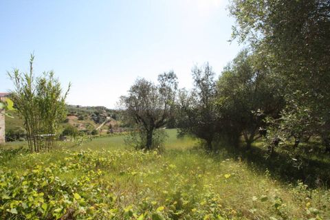 Helårsgrund i Monteprandone, Ascoli Piceno, Monteprandone - € 105.000 | Ref: 1698 - foto 3