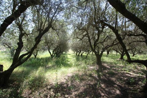 Helårsgrund i Monteprandone, Ascoli Piceno, Monteprandone - € 105.000 | Ref: 1698 - foto 4