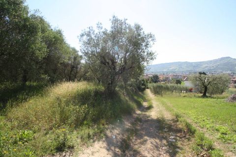 Helårsgrund i Monteprandone, Ascoli Piceno, Monteprandone - € 105.000 | Ref: 1698 - foto 5