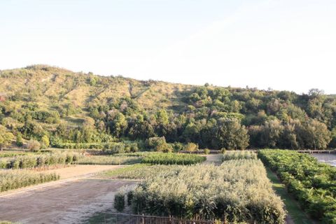 Villa i Colonnella, Teramo, Colonnella - € 270.000 | Ref: 1898 - foto 12