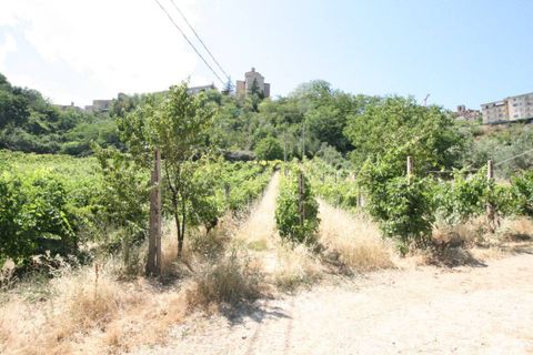 Landejendom i Ripatransone, Ascoli Piceno, Ripatransone - € 195.000 | Ref: 2132 - foto 6