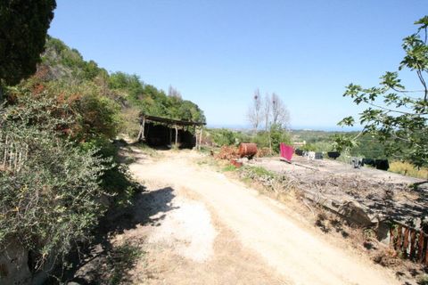 Landejendom i Ripatransone, Ascoli Piceno, Ripatransone - € 195.000 | Ref: 2132 - foto 14