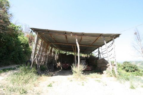 Landejendom i Ripatransone, Ascoli Piceno, Ripatransone - € 195.000 | Ref: 2132 - foto 15