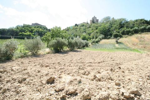 Landejendom i Ripatransone, Ascoli Piceno, Ripatransone - € 195.000 | Ref: 2132 - foto 16