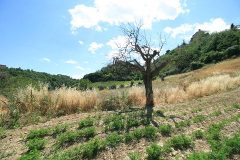 Landejendom i Ripatransone, Ascoli Piceno, Ripatransone - € 195.000 | Ref: 2132 - foto 18