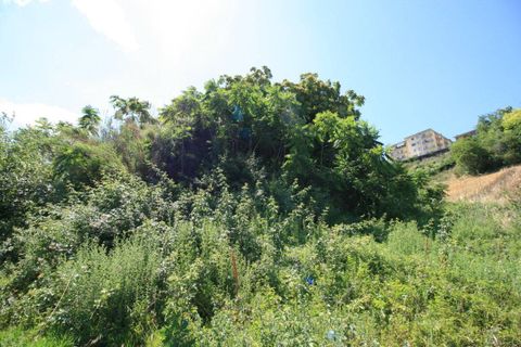 Landejendom i Ripatransone, Ascoli Piceno, Ripatransone - € 195.000 | Ref: 2132 - foto 19