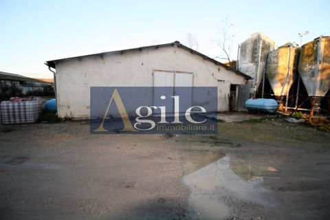Villa i Offida, Ascoli Piceno, Offida - € 250.000 | Ref: 2444 - foto 2