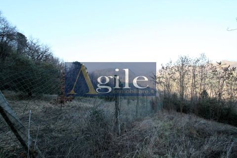 Villa a Venarotta, Ascoli Piceno, Venarotta - € 60.000 | Ref: 2553 - foto 5