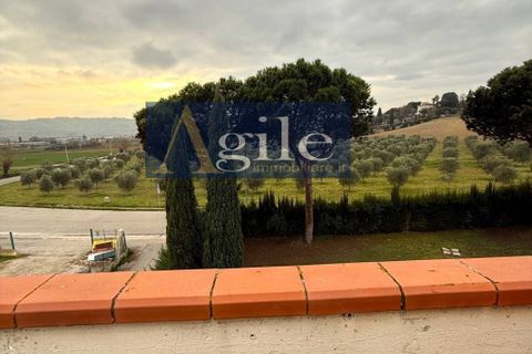Leilighet i Spinetoli, Ascoli Piceno, Spinetoli - € 80 000 | Ref: 2620 - foto 19