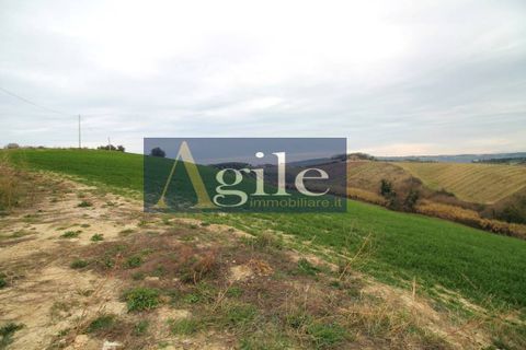 Landejendom i Monteprandone, Ascoli Piceno, Monteprandone - € 150.000 | Ref: 2761 - foto 6