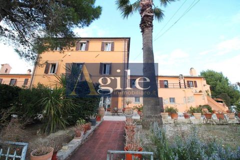 Villa i Offida, Ascoli Piceno, Offida - € 1.300.000 | Ref: 2767 - foto 4