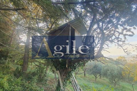 Villa i Colonnella, Teramo, Colonnella - € 440.000 | Ref: 2771 - foto 36