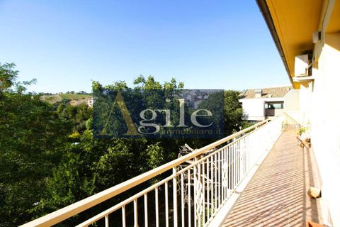 Lejlighed i Offida, Ascoli Piceno, Offida - € 160.000 | Ref: 2918 - foto 14