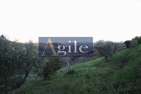 Villa a Castorano, Ascoli Piceno, Castorano - € 230.000 | Ref: 3038 - foto 15