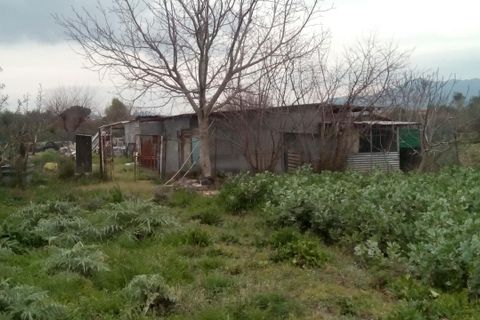 Helårsgrund i Pisa, Pisa, Pisa - € 26.000 | Ref: 2015104 - foto 5
