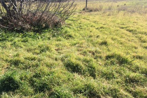 Tomt i Cascina, Pisa, Cascina - € 22 000 | Ref: 2022070 - foto 3