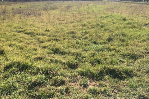 Tomt i Cascina, Pisa, Cascina - € 22 000 | Ref: 2022070 - foto 4