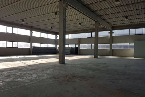 Erhvervsejendom i Pisa, Pisa, Pisa - € 3.500.000 | Ref: 2022090 - foto 2