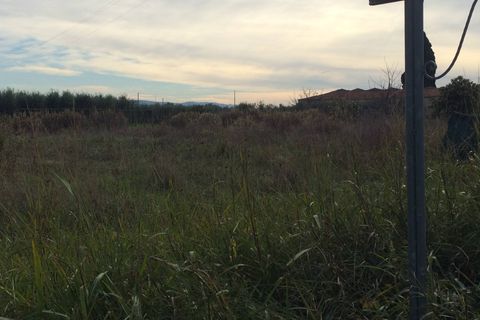 Helårsgrund i Cascina, Pisa, Cascina - € 15.000 | Ref: 2022098 - foto 2