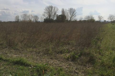 Helårsgrund i Pisa, Pisa, Pisa - € 45.000 | Ref: 2022219 - foto 6
