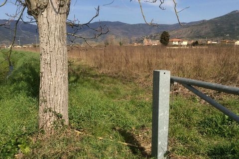 Helårsgrund i Pisa, Pisa, Pisa - € 45.000 | Ref: 2022219 - foto 8