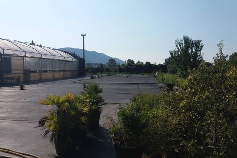 Helårsgrund i Vecchiano, Pisa, Vecchiano - € 90.000 | Ref: 2022236 - foto 2