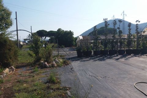Helårsgrund i Vecchiano, Pisa, Vecchiano - € 90.000 | Ref: 2022236 - foto 4