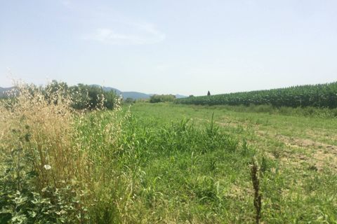 Helårsgrund i Vecchiano, Pisa, Vecchiano - € 8.000 | Ref: 2023175 - foto 1