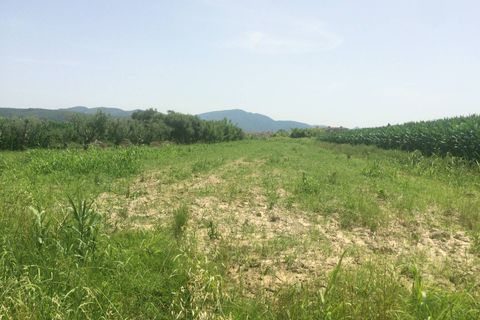 Helårsgrund i Vecchiano, Pisa, Vecchiano - € 8.000 | Ref: 2023175 - foto 2