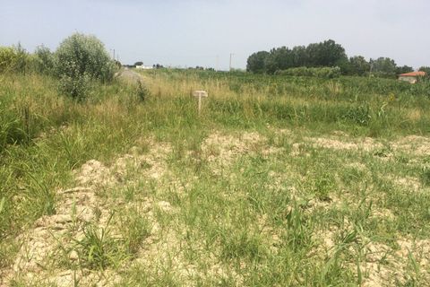 Helårsgrund i Vecchiano, Pisa, Vecchiano - € 8.000 | Ref: 2023175 - foto 3
