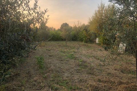 Helårsgrund i Pisa, Pisa, Pisa - € 31.000 | Ref: 2023257 - foto 1
