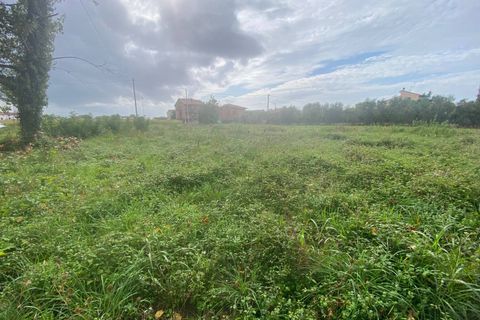 Helårsgrund i Cascina, Pisa, Cascina - € 14.000 | Ref: 2024239 - foto 3