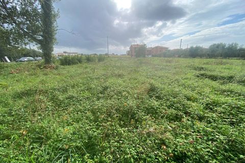Helårsgrund i Cascina, Pisa, Cascina - € 14.000 | Ref: 2024239 - foto 4