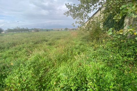 Helårsgrund i Cascina, Pisa, Cascina - € 14.000 | Ref: 2024239 - foto 5