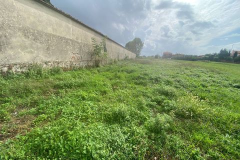 Helårsgrund i Cascina, Pisa, Cascina - € 14.000 | Ref: 2024239 - foto 7