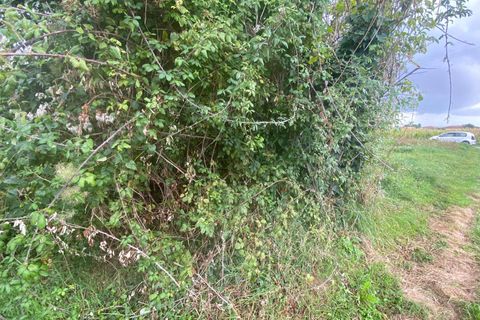 Helårsgrund i Cascina, Pisa, Cascina - € 14.000 | Ref: 2024239 - foto 9
