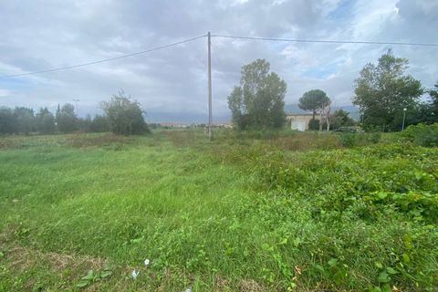 Helårsgrund i Cascina, Pisa, Cascina - € 14.000 | Ref: 2024239 - foto 10