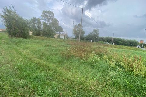 Helårsgrund i Cascina, Pisa, Cascina - € 14.000 | Ref: 2024239 - foto 11