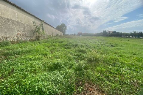 Helårsgrund i Cascina, Pisa, Cascina - € 14.000 | Ref: 2024239 - foto 14