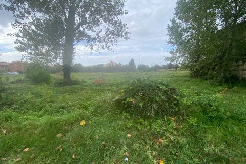 Helårsgrund i Cascina, Pisa, Cascina - € 14.000 | Ref: 2024239 - foto 15