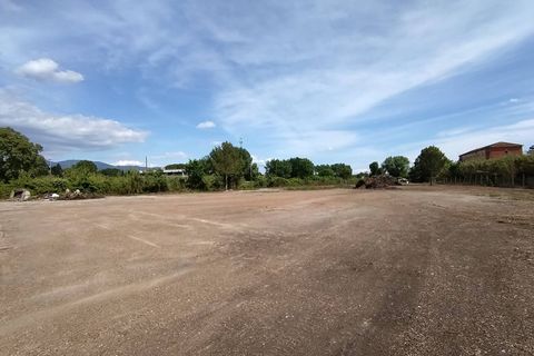 Terra a Pisa, Pisa, Pisa - € 1.500/mes | Ref: 2024247 - foto 3