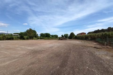 Terra a Pisa, Pisa, Pisa - € 1.500/mes | Ref: 2024247 - foto 4