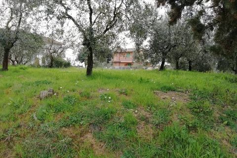 Terra a Pontedera, Pisa, Pontedera - € 180.000 | Ref: PO2021093 - foto 3