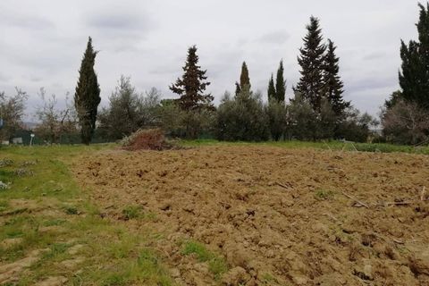 Terra a Pontedera, Pisa, Pontedera - € 180.000 | Ref: PO2021093 - foto 4