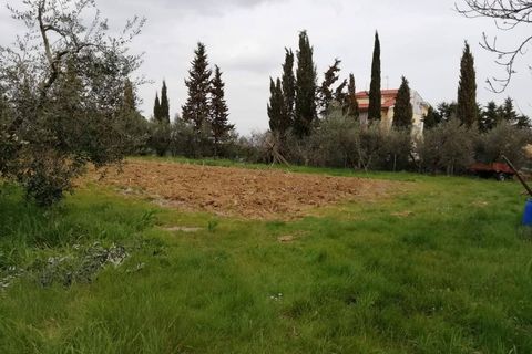 Terra a Pontedera, Pisa, Pontedera - € 180.000 | Ref: PO2021093 - foto 5