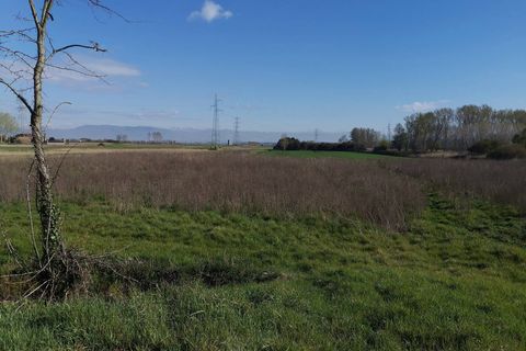 Helårsgrund i Bientina, Pisa, Bientina - € 20.000 | Ref: PO2021173 - foto 3